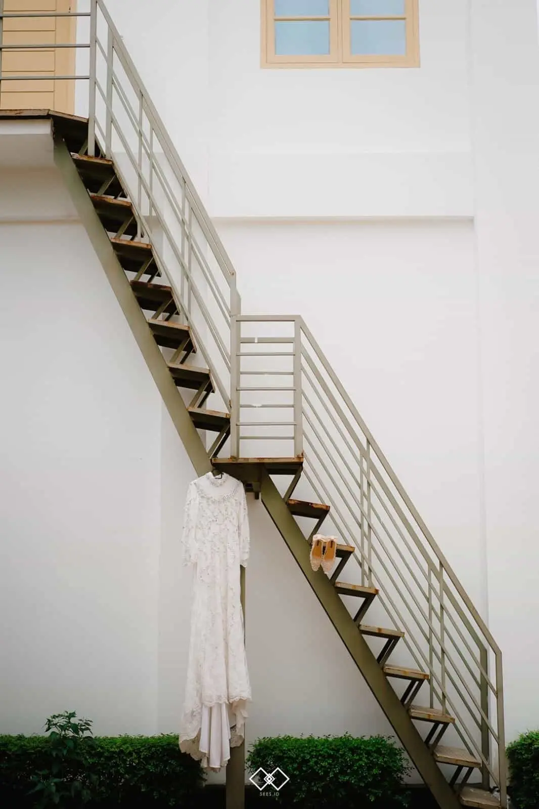 Coolest Image Desktop