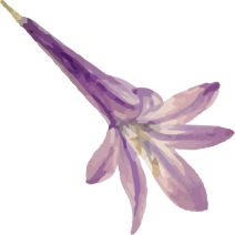ornamen-01