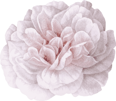 ornamen-10