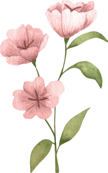 ornamen-12