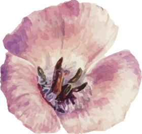 ornamen-14