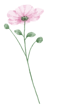ornamen-02
