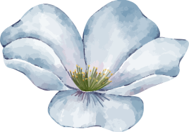 ornamen-03