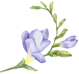 ornamen-08