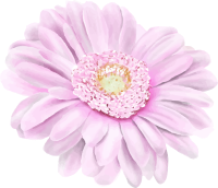 ornamen-09