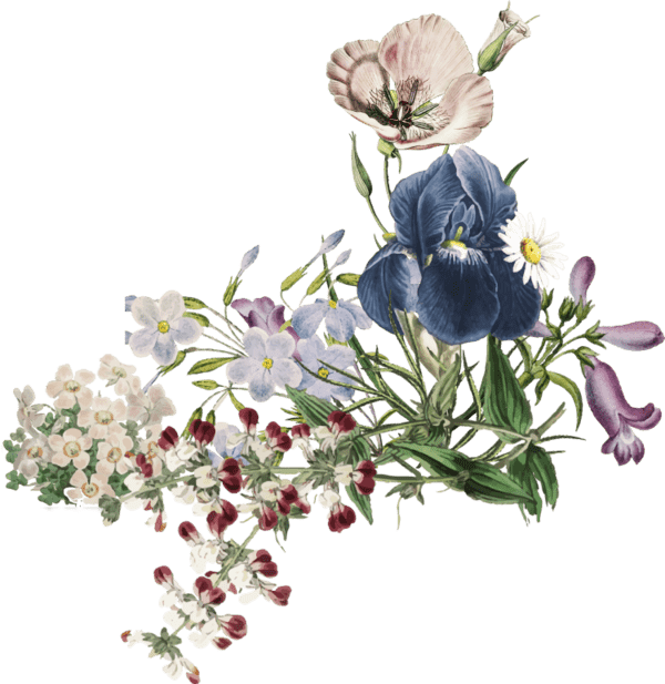 Cover Flowers