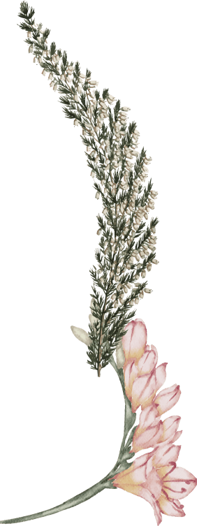 Cover Flowers