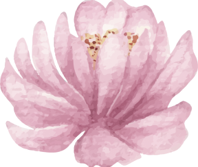 orn-gift