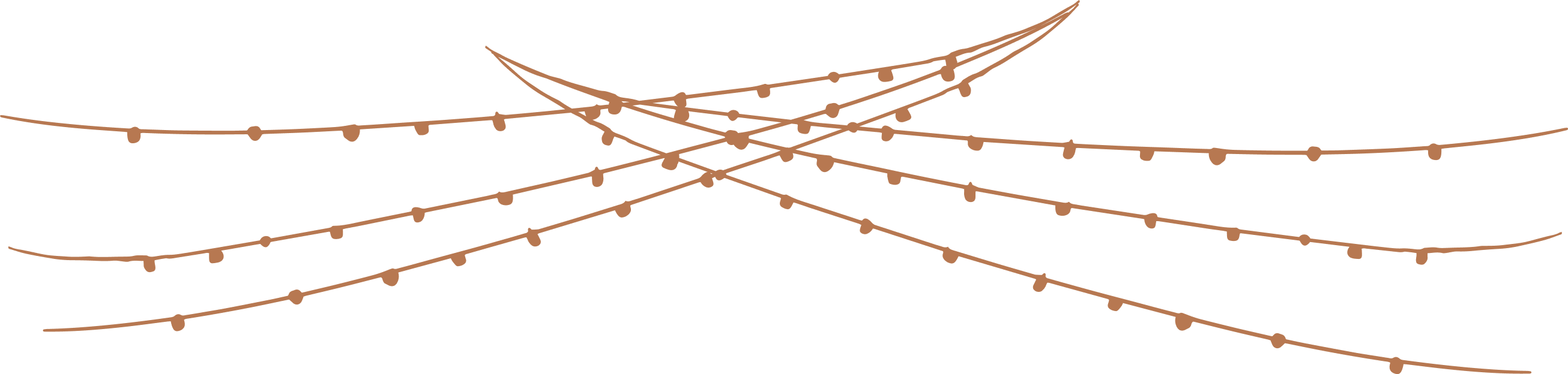 Ornaments