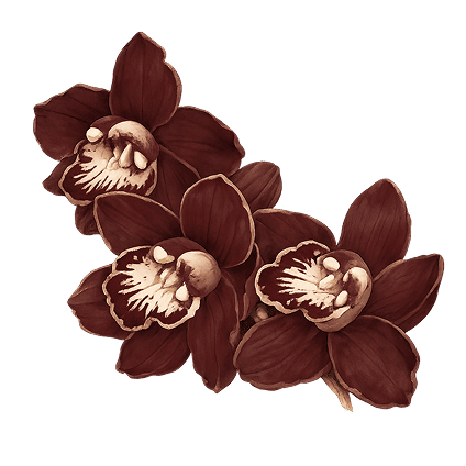 Ornaments