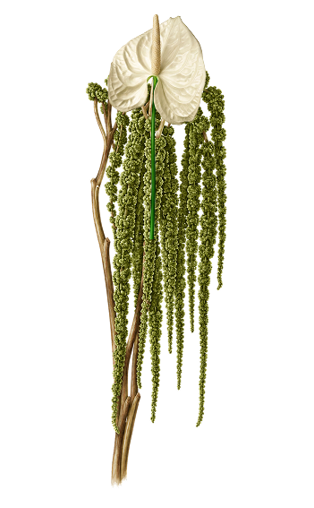 Ornaments