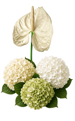 Ornaments